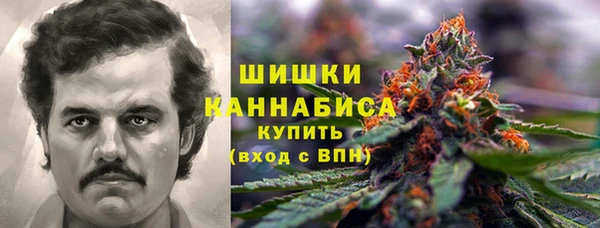 2c-b Заводоуковск