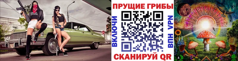 маркетплейс какой сайт  Зеленодольск  Псилоцибиновые грибы ЛСД 