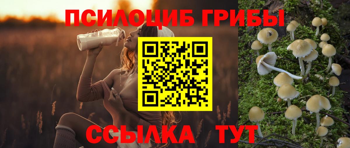 Псилоцибиновые грибы MAGIC MUSHROOMS Зеленодольск